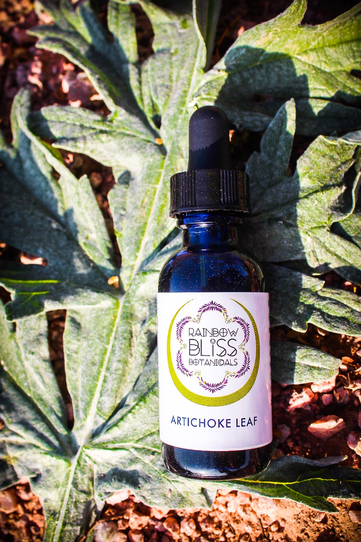 Artichoke Leaf tincture