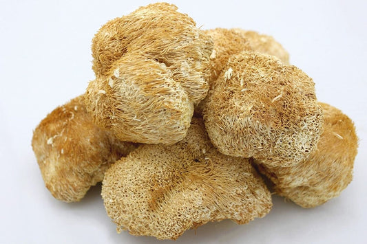 Lions Mane fruiting body dried mushroom