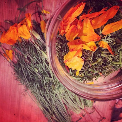 California poppy Tincture