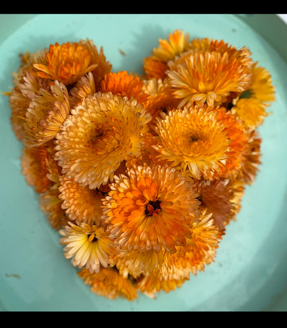 Calendula Flowers (dried & organic)