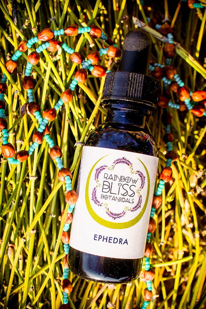 Ephedra