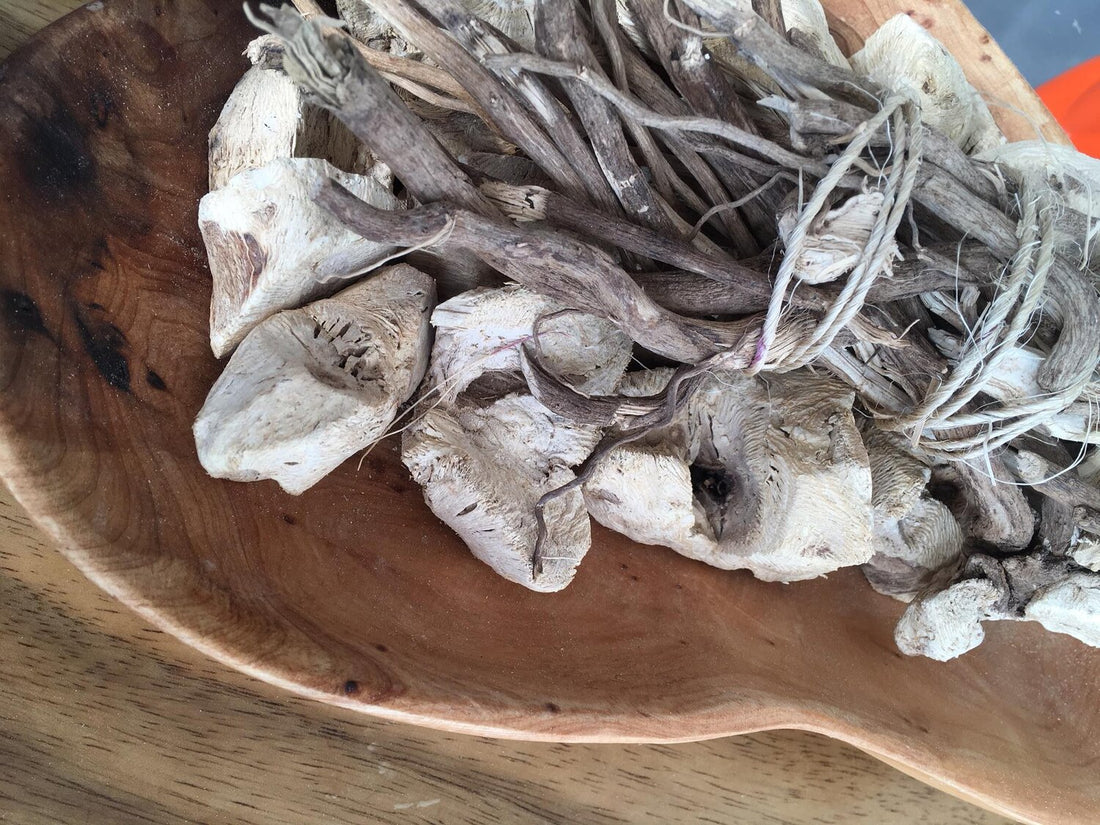 Hawaiian Áwa : kava kava powdered root – Rainbow Bliss Botanicals