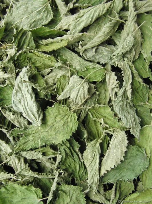 Nettle Leaf - organic