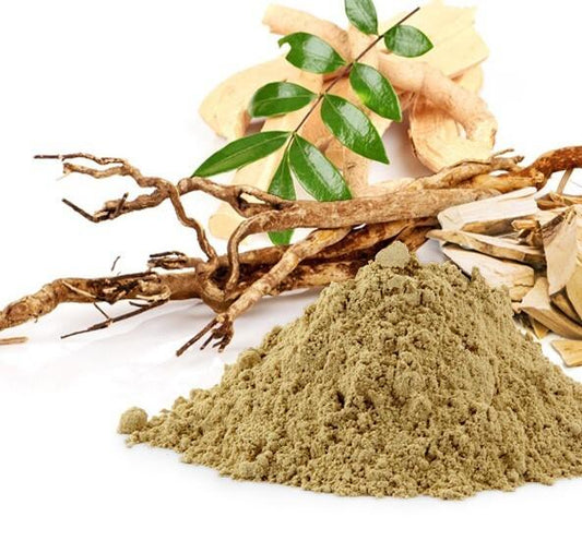 Tongkat Ali 4:1 Longjack concentrate extract