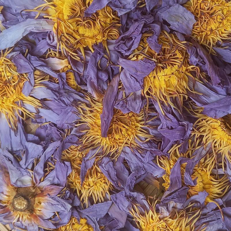 Lavender & Lotus Dreamz