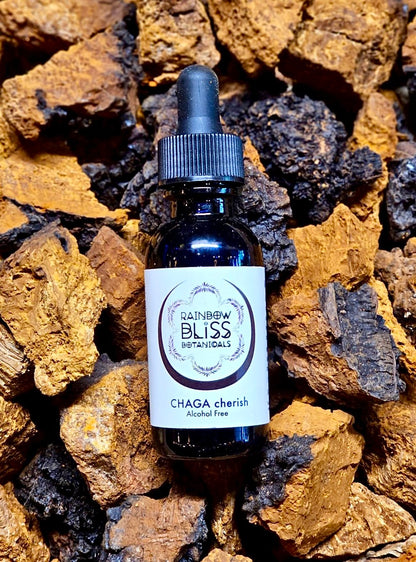 Chaga Glycerite