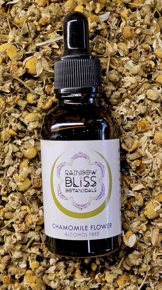 Chamomile Glycerite