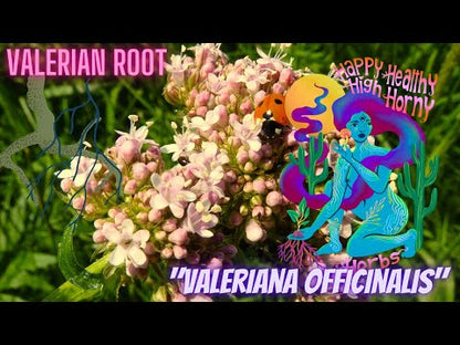 Violet Valerian