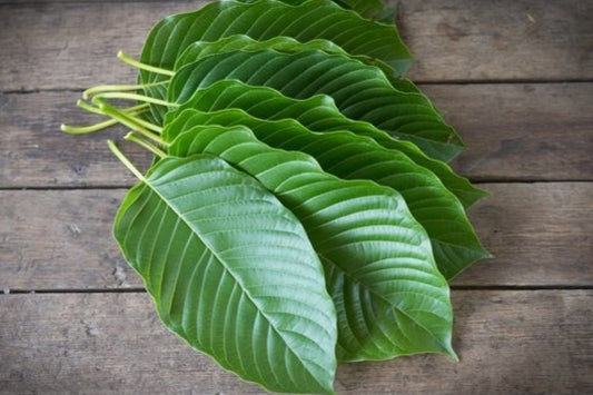 Superior Green Malaysian Kratom leaf powder