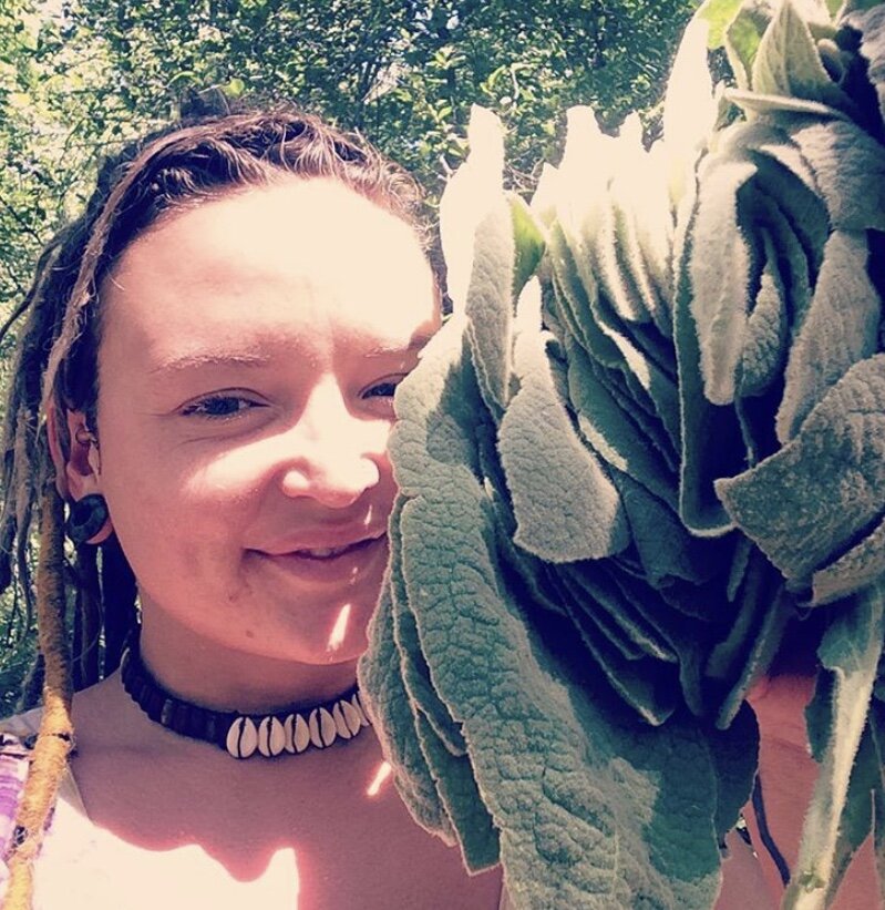 ArizonA Mullein Leaf