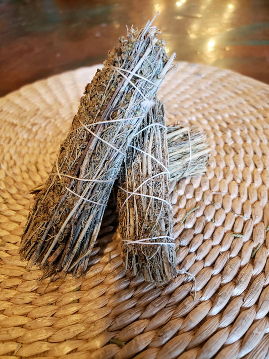 Wild Sagebrush